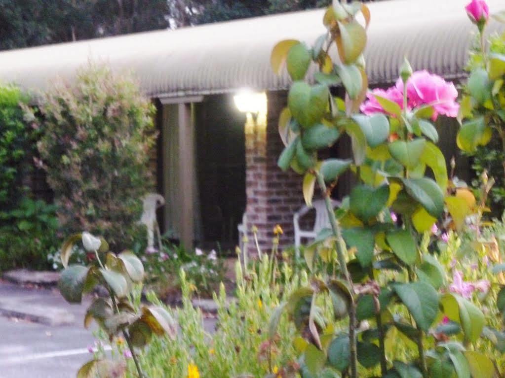 Tea Gardens Motel Buitenkant foto